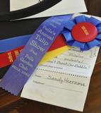 Tricolor Award at Tulip Time Flower Show