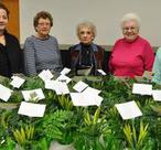 Yvonne McComick, Sally Allard, Lucy Larson, Marilyn Peterson-Shipp, and help with Daffodil Days designs